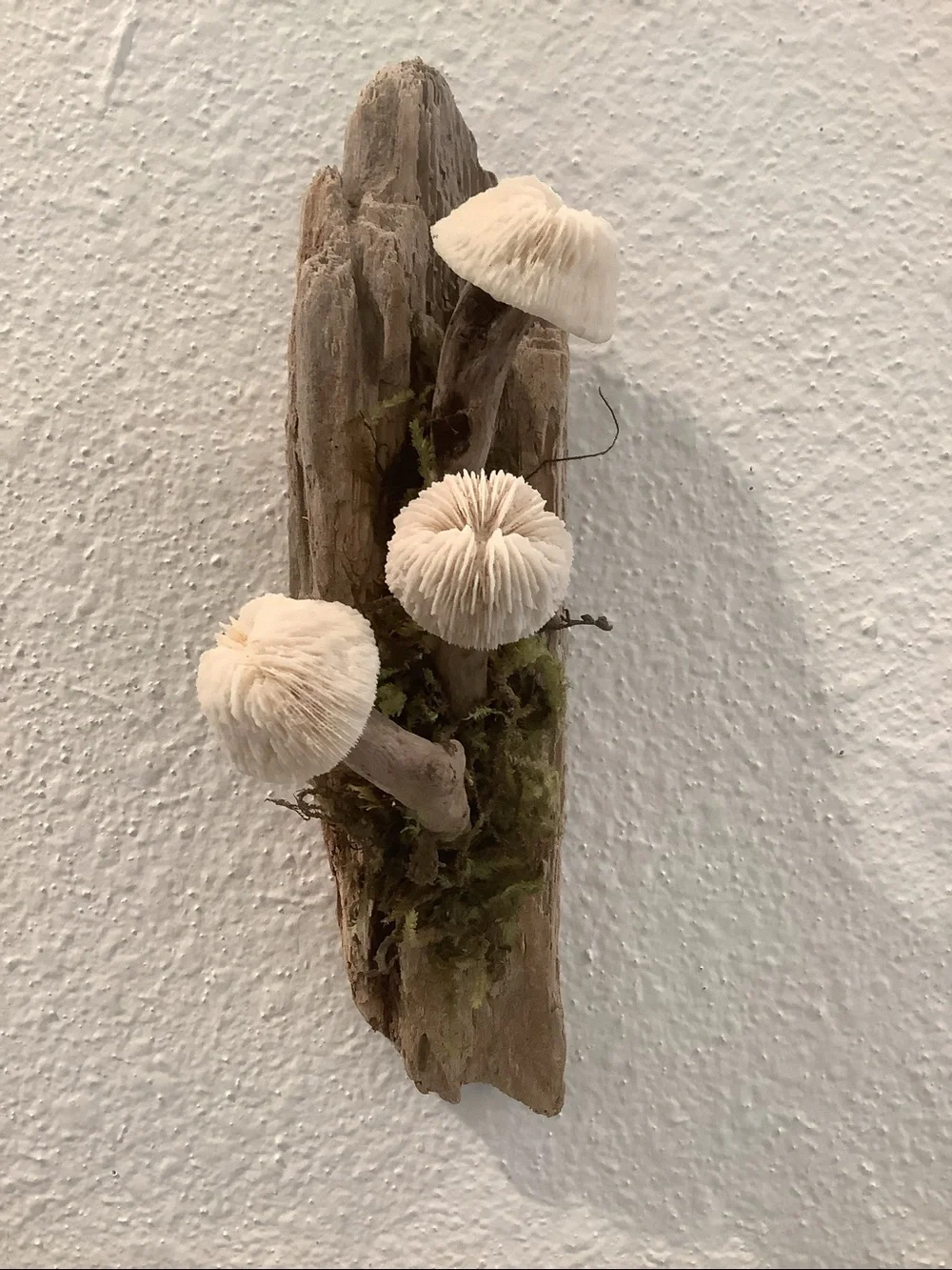 Driftwood Art, Driftwood and Coral Mushrooms, Mushroom Art, Coastal Art